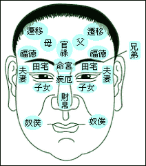 免费算命看相(免费算命看相网)