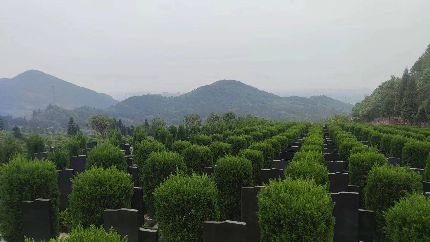 平地如何看风水(平地风水图解 视频)