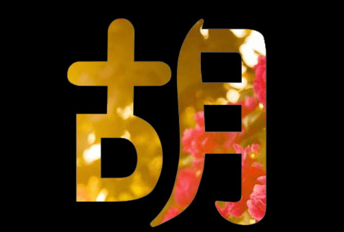 胡氏起名字大全女孩(胡氏姓名大全女孩名字)