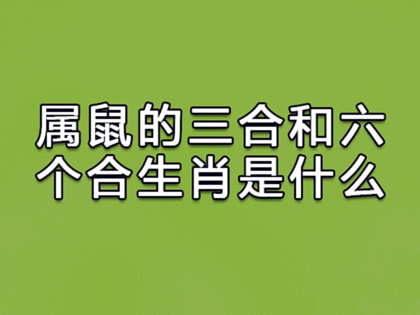 属猴和属龙的合不合(属马和属鸡的合不合婚)