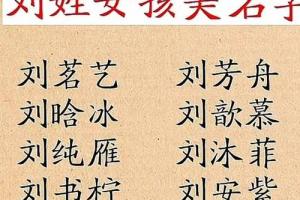 刘起名(刘起名字搞笑)