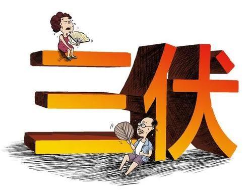 入伏是什么意思啊(入伏是什么意思啊?入伏第一天有什么讲究吗)