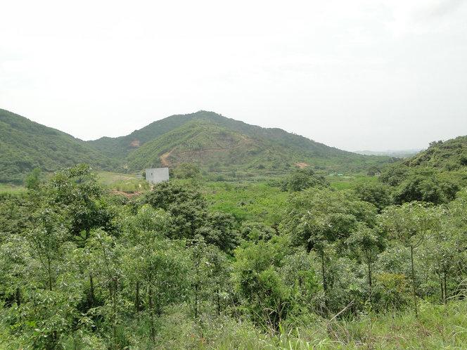 中原看风水(中原风水说法)