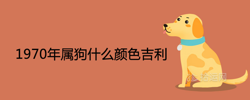 属狗的幸运色是什么颜色(属狗的幸运色是什么颜色2024年运势)